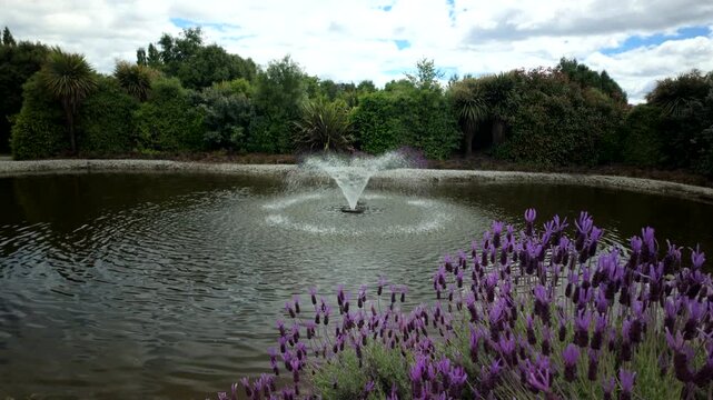 Garden pond fountain with lavender flowers in foreground