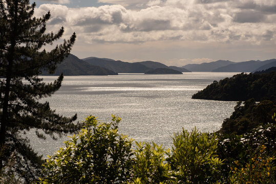 Contre jour view of Queen Charlotte Sound in the Marlborough Sounds, South Island, New Zealand.