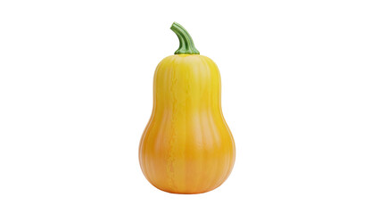 Butternut Squash