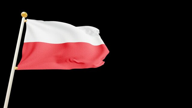 3d animation of Poland flag waving on solid background.