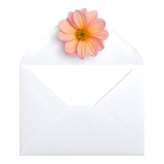 A white envelope with a peach and yellow flower perched on top, viewed from directly above, against a white backdrop