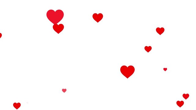 Happy Valentines day animation on white background with hearts and dust particle failing. love and passion 14 February and anniversary design concept. 