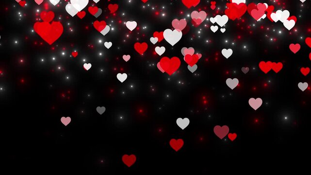 Happy Valentines day animation on black background with red- white hearts and dust particle failing. love and passion 14 February and anniversary design concept. 