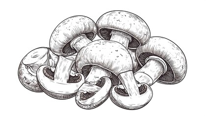 A pile of sketched brown mushrooms, some whole, some sliced, against a stark white background