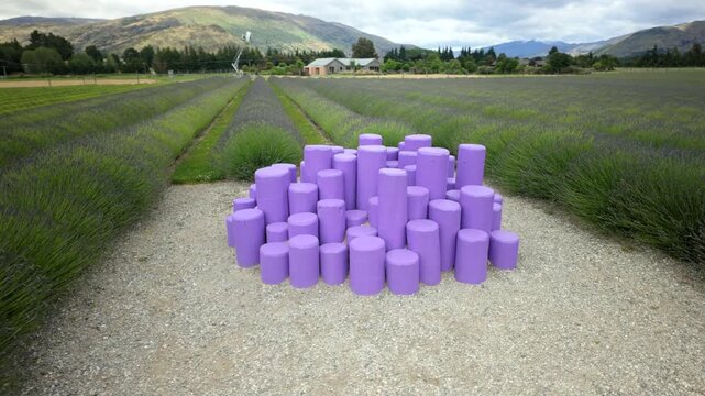 Circular View Of Purple Sculpture In Lavender Field