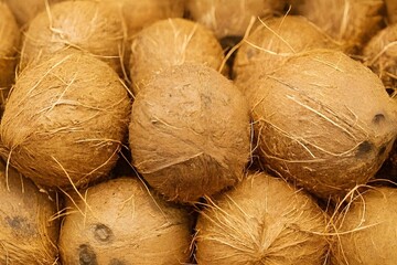 Group of fresh brown coconuts in a pile. Natural tropical fruit rich in electrolytes and healthy fats. Concept of organic nutrition, hydration, and raw ingredients for culinary use.