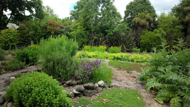 Garden path through diverse plants in botanical park