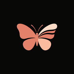 butterfly vector illustration