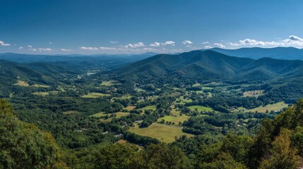 Naklejka premium Verdant Appalachian Valley Panorama Under Blue Sky.