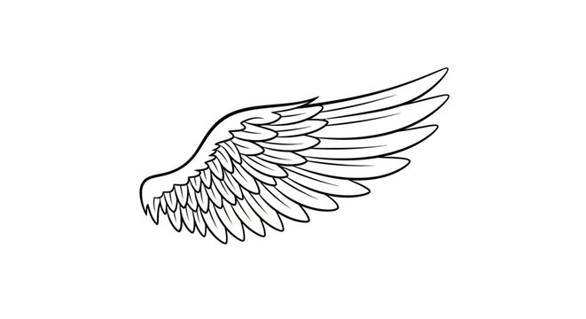 Minimalistic Black and White Line Drawing of a Single Wing Illustration