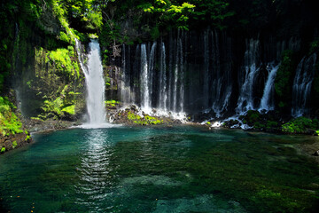 岩の間から沢山の滝が流れている白糸の滝を写した風景写真