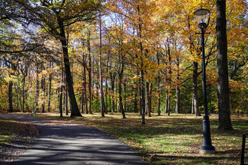 Fototapeta premium Autumn leaves and rich fall colors across Quebec landscapes, highlighting seasonal beauty and nature.