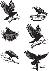 Obraz premium crow silhouette