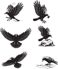 Fototapeta premium crow silhouette