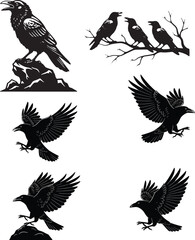 Obraz premium crow silhouette