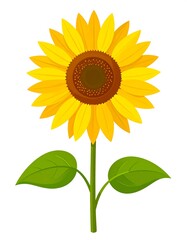 Vibrant cartoon sunflower illustration with yellow petals and green leaves