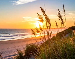 Tableau sur aluminium Paysages Grassy dunes meet a sandy beach with gentle waves under a vibrant sunset sky  © Barokah