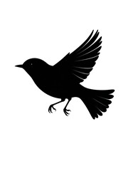 Fototapeta premium Silhouette of a bird with outstretched wings, in mid-flight on white