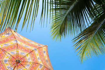 Colorful Beach Umbrella and Palm Leaves Against Blue Sky
