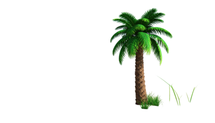Digitally rendered palm tree with green foliage on a black backdrop