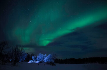Bright colors of Aurora borealis fill the night sky as the northern lights dance above a snowy area. Trees catch some light, creating a contrast against the dark backdrop.