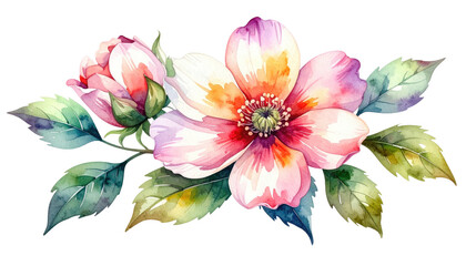 Watercolor floral arrangement with pink and orange hues on black