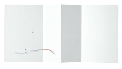 Fractured rectangular surface with varying shades of white and gray, some damage