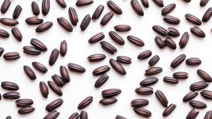 Scattered dark seeds on white background