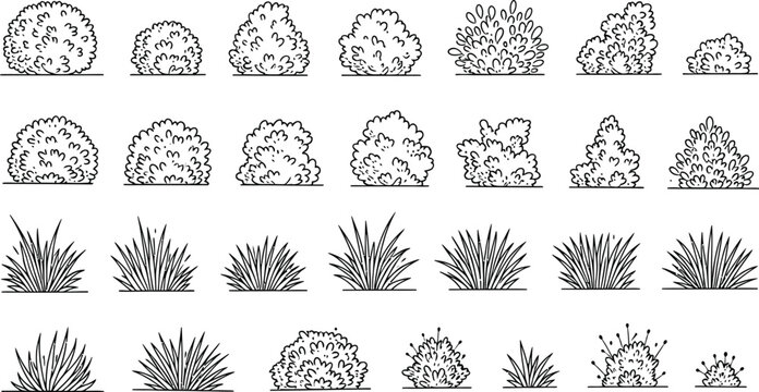 Variety of lichen and moss growth patterns illustration