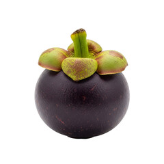 Exotic Mangosteen Fruit Isolated Natural Appearance
