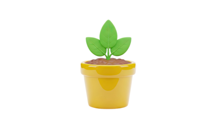 3D illustration of a plant growing in a yellow pot on transparent background