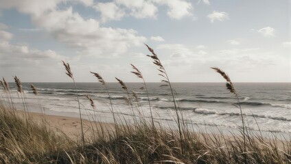 Coastal Serenity - Sea Oats Swaying on a Sandy Beach.