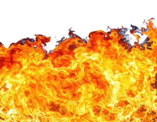 Close-up of fiery flames bursting with vibrant orange and red hues