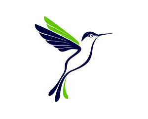 bird logo design and art