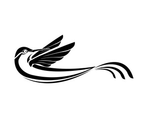 bird logo design and art