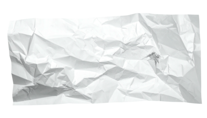 Crumpled white paper rectangle with edges outlined in white