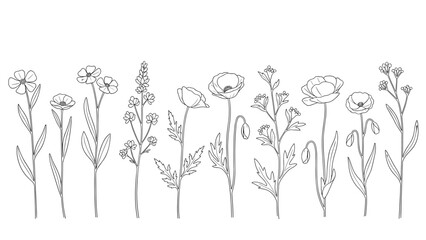 Collection of various wildflowers like poppies and buttercups arranged in a row, hand-drawn in a delicate line art style.