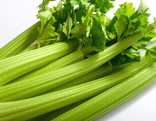 Close-up of fresh, crisp green stalks and leaves against a white backdrop