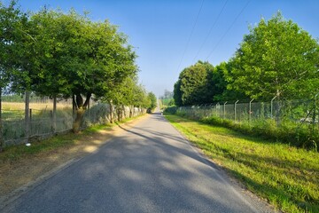 길거리, 네이처, 나무, 경관, sky, 경로, 국가, green, 목초, 농촌, 시골, 여름, 길, 공원, 아스팔트, 여행, 봄, 구름, 간선도로, 들판, 거리, 산책로, 레인