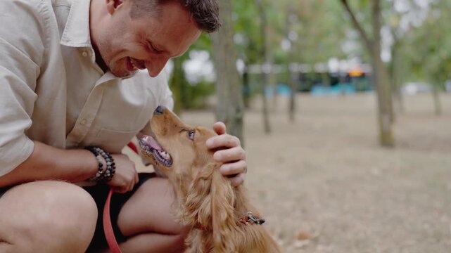 A man enjoys quality time with his Cocker Spaniel dog in a park. They share a special bond, evident in their happy expressions. The dog is on a red leash, enjoying the attention and affection.