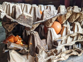 Broken eggs with shells were