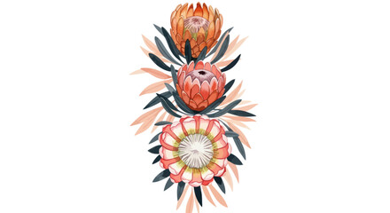 Three watercolor protea flowers arranged vertically with leaves