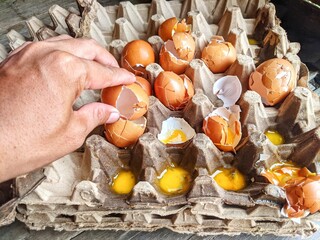 Broken eggs with shells were