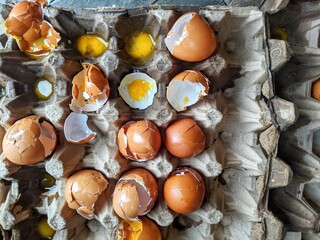 Broken eggs with shells were