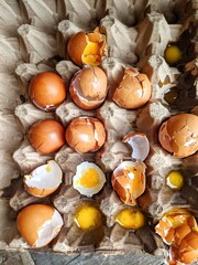 Broken eggs with shells were