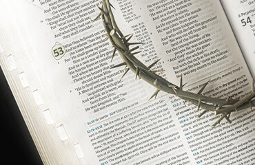 Crown of Thorns against Isaiah 53