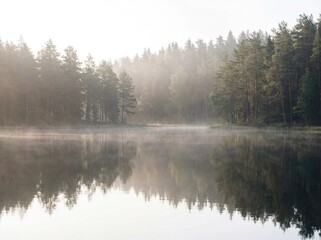 Tranquil Forest Lake with Morning Mist Reflections Calm Natural Landscape Ethereal View