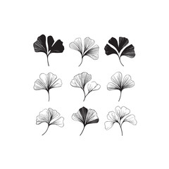 Obraz premium Maidenhair Vine Flower icon line art wildflower nature