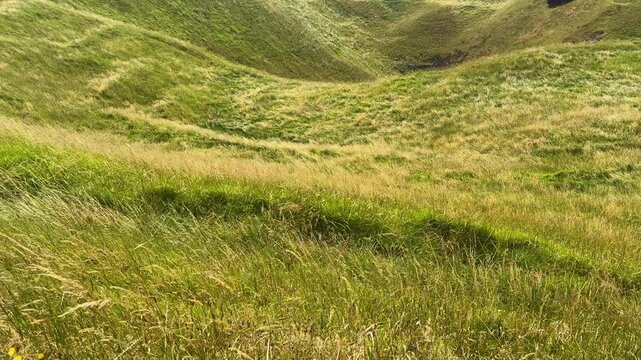 A panoramic view of a green dormant volcano crater and grass field under blue semi-cloudy sky.