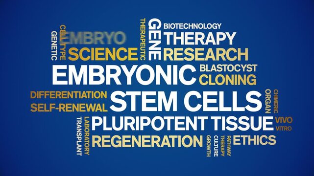 Embryonic Stem Cells animated word cloud-text design animation tag kinetic typography seamless loop.